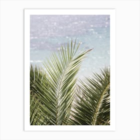 Beach Palms Art Print