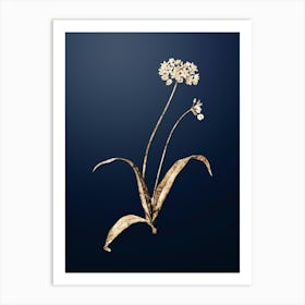 Gold Botanical Spring Garlic on Midnight Navy n.0313 Art Print
