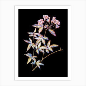Stained Glass Lady Bank's Rose Mosaic Botanical Illustration on Black n.0352 Art Print