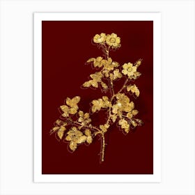 Vintage White Sweetbriar Rose Botanical in Gold on Red n.0134 Art Print