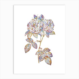 Stained Glass Italian Damask Rose Mosaic Botanical Illustration on White n.0105 Art Print