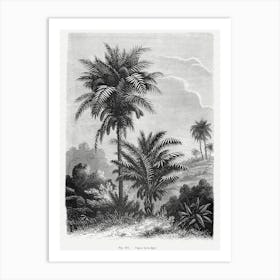 Vintage Palm Tree Art Print _2643188 Art Print