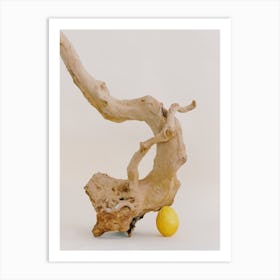 Driftwood And Lemon Art Print