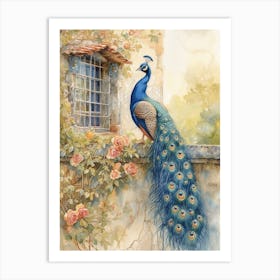 Peacock On The Wall Watercolour 2 Art Print