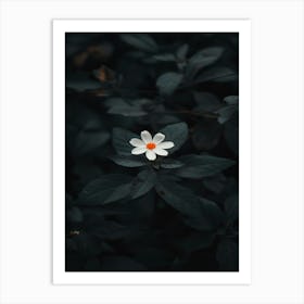 Dark Flower 20 Art Print