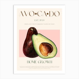 Avocado Fruit Mid Century Art Print
