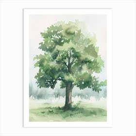 Pecan Tree Atmospheric Watercolour Painting 2 Art Print
