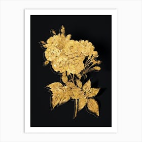 Vintage Noisette Roses Botanical in Gold on Black n.0551 Art Print