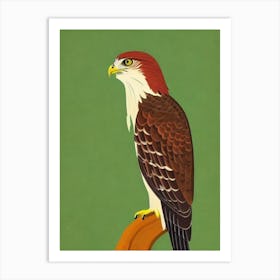 Red Tailed Hawk 2 Midcentury Illustration Bird Art Print