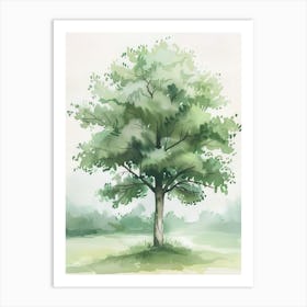 Beech Tree Atmospheric Watercolour Painting 1 Art Print