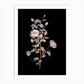 Stained Glass Pink Scotch Briar Rose Mosaic Botanical Illustration on Black n.0123 Art Print