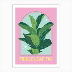 Fiddle Leaf Fig Art Print