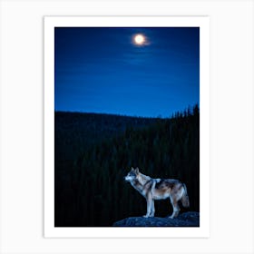 Wolf At Night Art Print