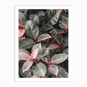 Pink And Grey Leaves Art Print