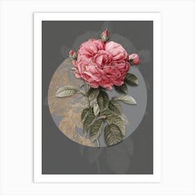 Vintage Botanical Giant French Rose on Circle Gray on Gray n.0119 Art Print
