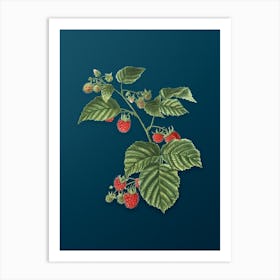 Vintage Raspberry Botanical Art on Teal Blue n.0757 Art Print