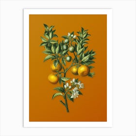 Vintage Bitter Orange Botanical on Sunset Orange n.0257 Art Print