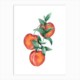 Peach Watercolor Art Print