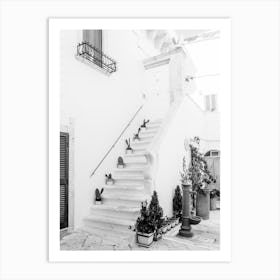 Stairs In Puglia Cactus Black And White Art Print