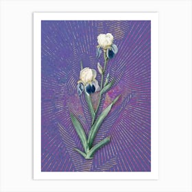 Vintage Elder Scented Iris Botanical Illustration on Veri Peri Art Print