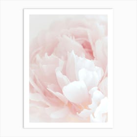 Pink poppy flower_2314091 Art Print
