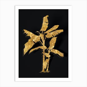 Vintage Scarlet Banana Botanical in Gold on Black n.0163 Art Print