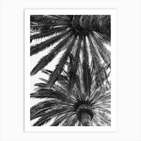 Venice Palms Art Print