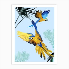Flying Parrots Art Print