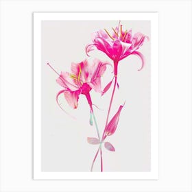 Hot Pink Gloriosa Lily 3 Art Print