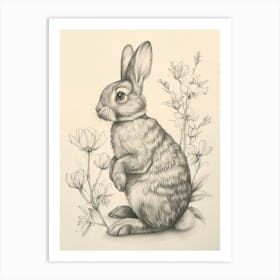 Polish Rex Rabbit Drawing 1 Art Print