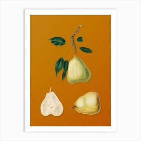Vintage Pear Botanical on Sunset Orange n.0225 Art Print