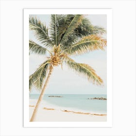 Palm Tree On Beach Art Print