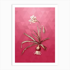 Vintage Amaryllis Broussonetii Botanical in Gold on Viva Magenta Art Print