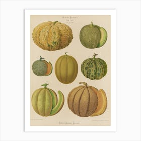 Cantaloupes Art Print