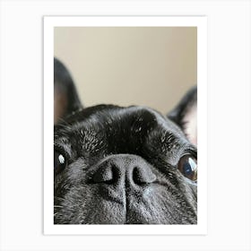 French Bulldog.Generated AI. Art Print 6 Art Print