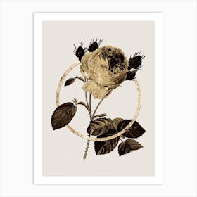Gold Ring Centifolia Roses Glitter Botanical Illustration n.0163 Art Print