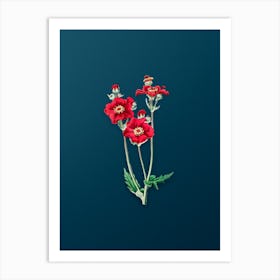 Vintage Chilian Guem Flower Botanical Art on Teal Blue n.0900 Art Print