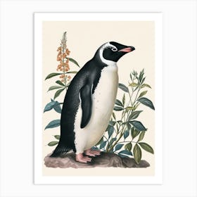 Adlie Penguin Cooper Bay Vintage Botanical Painting 3 Art Print