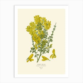 Yellow Dandelion Art Print