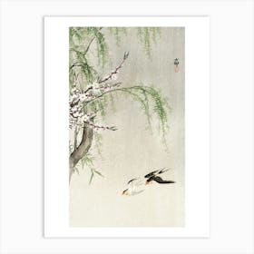 Swallows In Flight (1900 1930), Ohara Koson Art Print