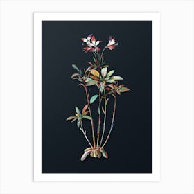 Vintage Lily of the Incas Botanical Watercolor Illustration on Dark Teal Blue n.0390 Art Print
