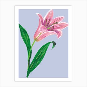 Pink Lily Art Print