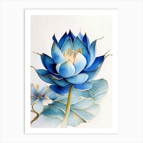 Blue Lotus Watercolour Ink Pencil 2 Art Print