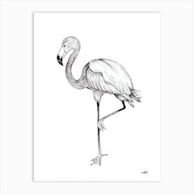 Black and White Flamingo Art Print