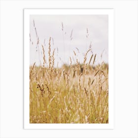 Summer Wheat Field Art Print