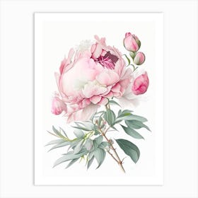 Peony Floral Quentin Blake Inspired Illustration 2 Flower Art Print