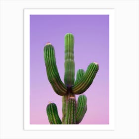 Cactus 22 Art Print