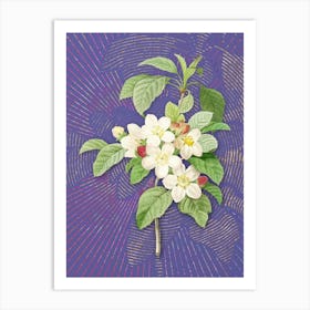 Vintage Apple Blossom Botanical Illustration on Veri Peri Art Print