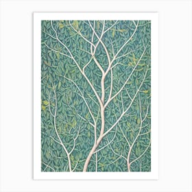 Quaking Aspen Seedlings 4 tree Vintage Botanical Art Print