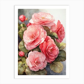 Begonia  Art Print